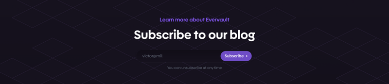 Evervault
				newsletter signup form ui component