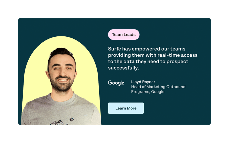 Surfe
				card ui component