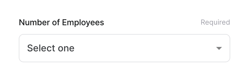Twingate
				input select ui component