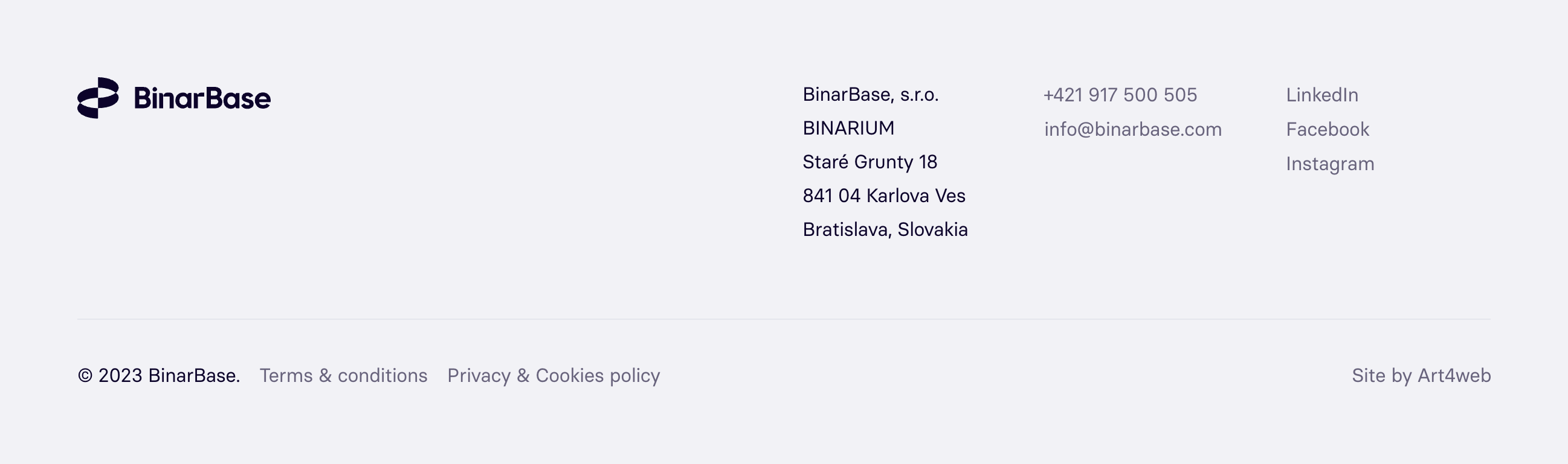 BinarBase FooterUI component example