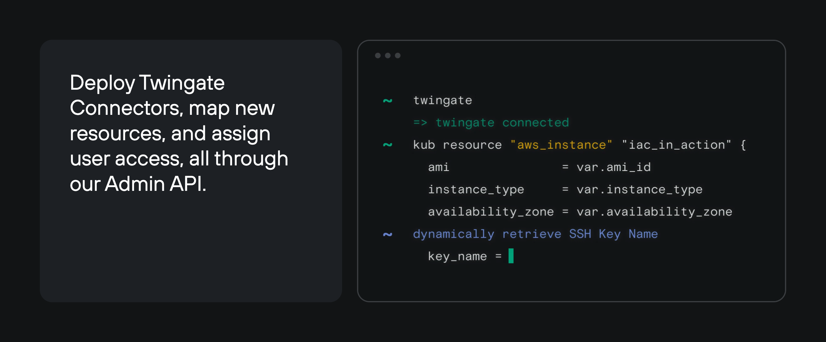 Twingate IllustrationUI component example