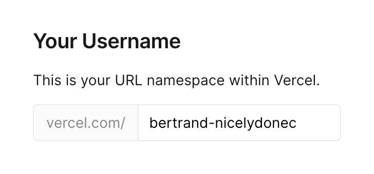 Vercel Input textUI component example