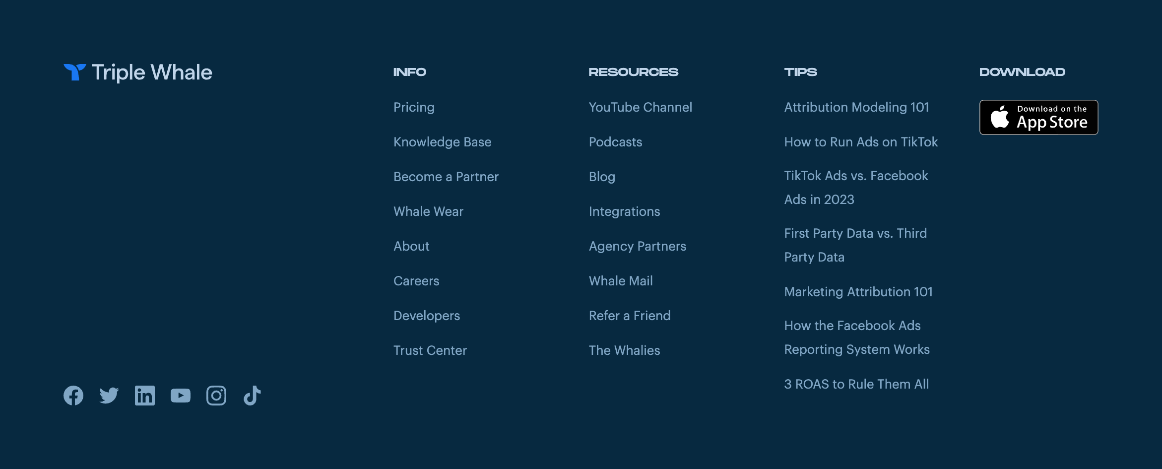 Triple Whale FooterUI component example