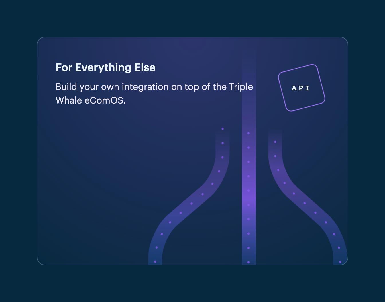 Triple Whale IllustrationUI component example