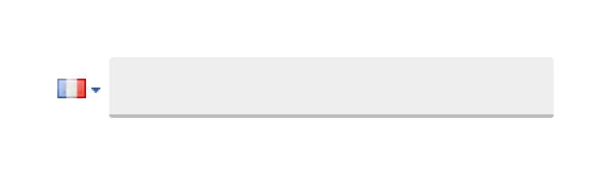 Google Mail
				input phone number ui component