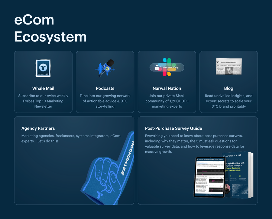 Triple Whale
				bento box ui component