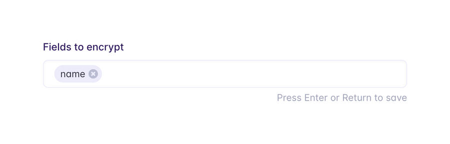 Evervault
				input tag ui component