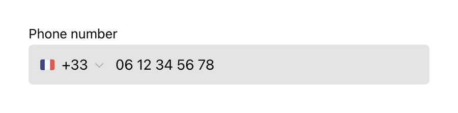 Dyte
			form ui component