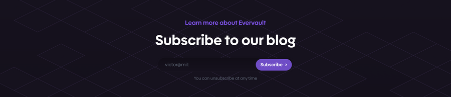 Evervault
				newsletter signup form ui component