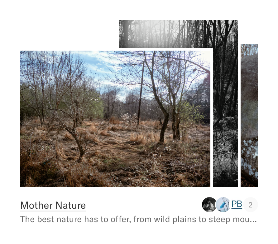 Refrakt
				card ui component