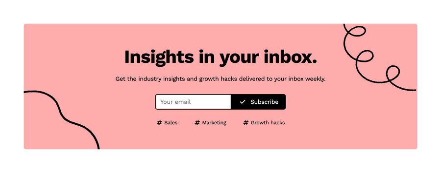Wiza
				newsletter signup form ui component