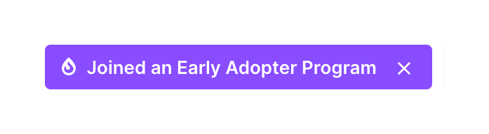 Polywork
				tag ui component