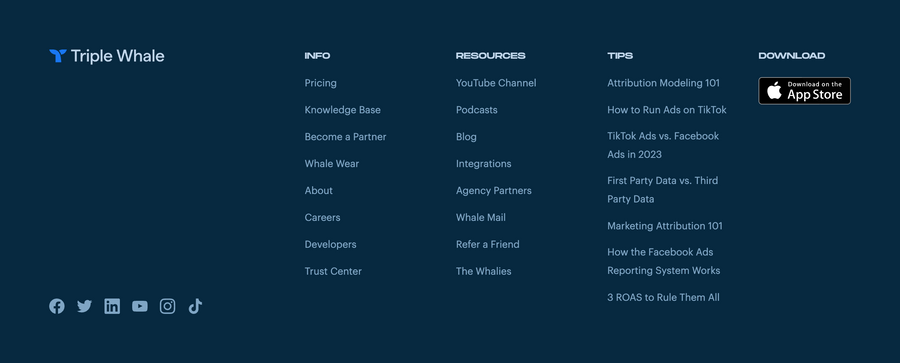 Triple Whale
				footer ui component