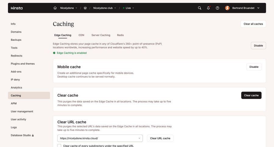 Kinsta
				settings ui page example