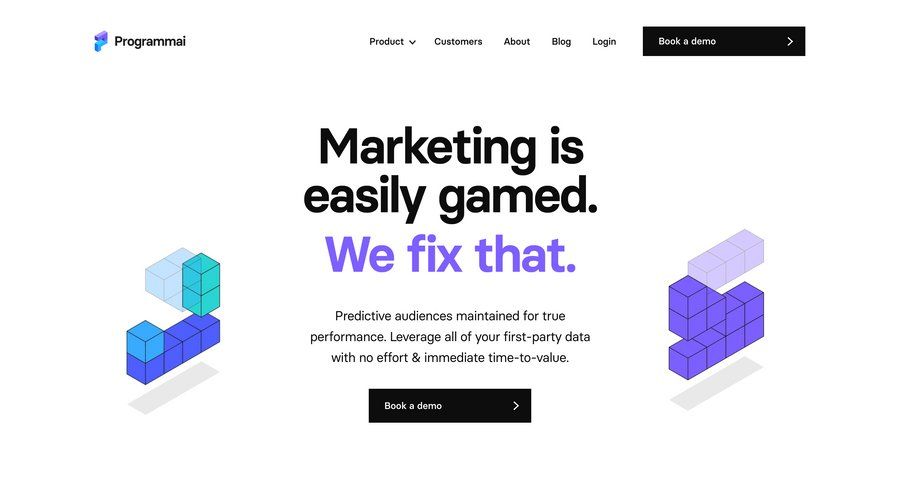 Programmai
				 page example