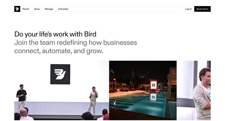 Bird
				form ui page example