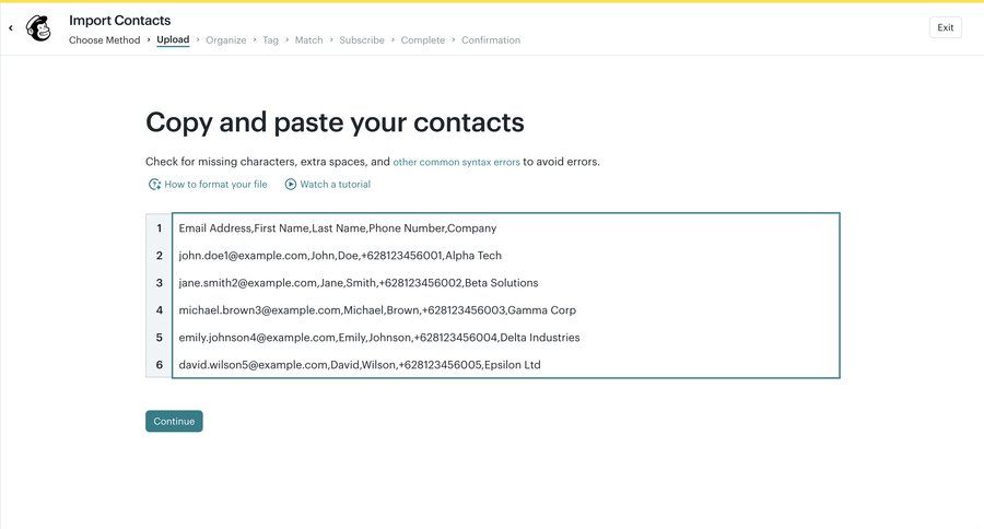 Mailchimp
			 email marketing data entry import wizard ui page example
