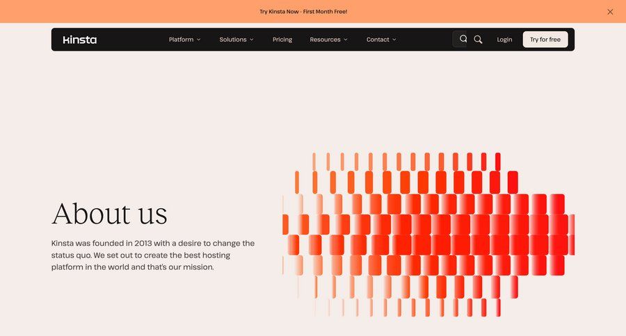 Kinsta
				about & company mission ui page example