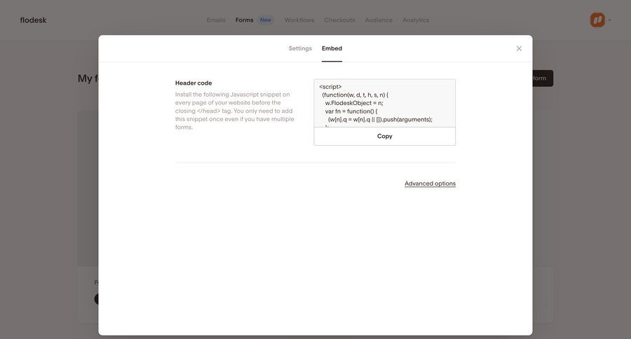 Flodesk
			settings embed modal screen configuration code snippet ui page example