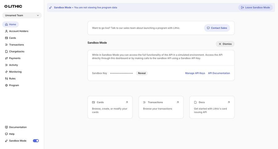 Lithic
			 developer portal ui page example