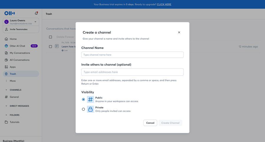 Otter
			 team collaboration form channel management privacy settings user invitation upgrade modal radio group communication collaborators group members tips ui page example