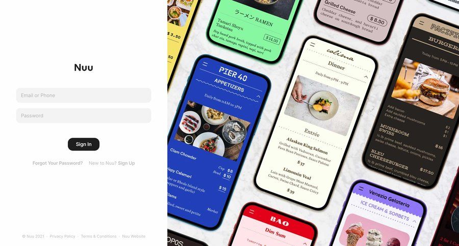 Nuu
				signin page example