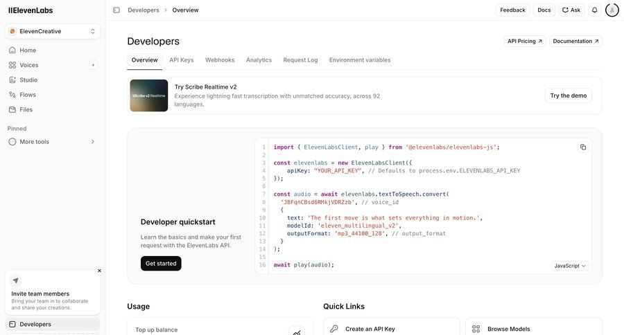 Elevenlabs
			 code snippet developer portal ui page example