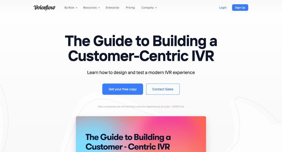 Voiceflow
				form page example