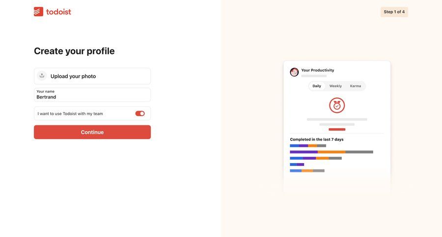 Todoist
				profile page example