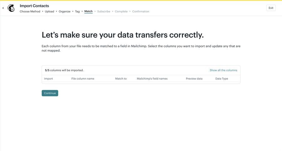 Mailchimp
			 data mapping ui page example
