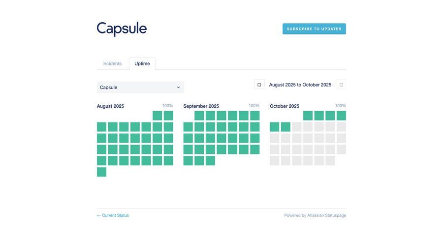 Capsule
				table ui page example