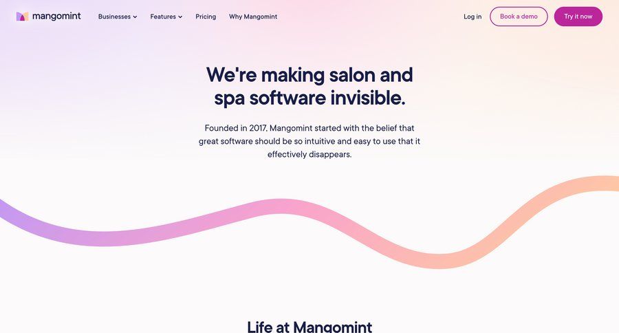 Mangomint
				about & company mission ui page example