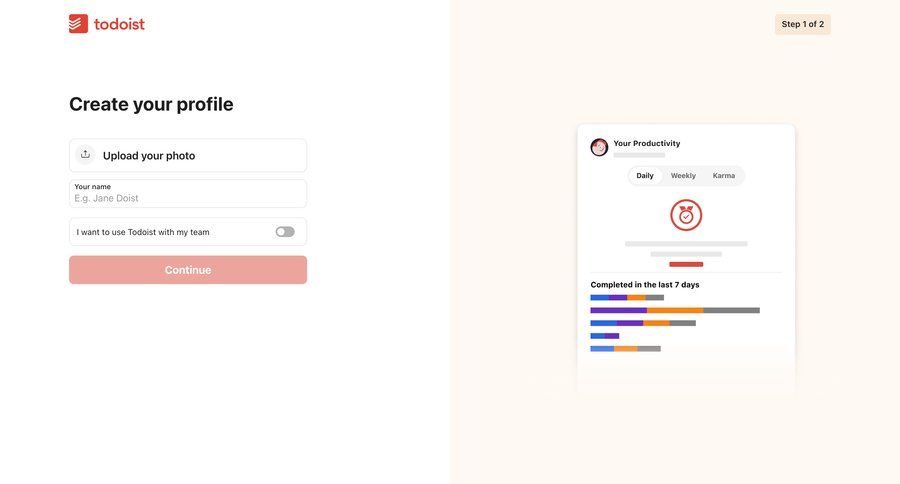 Todoist
				profile page example
