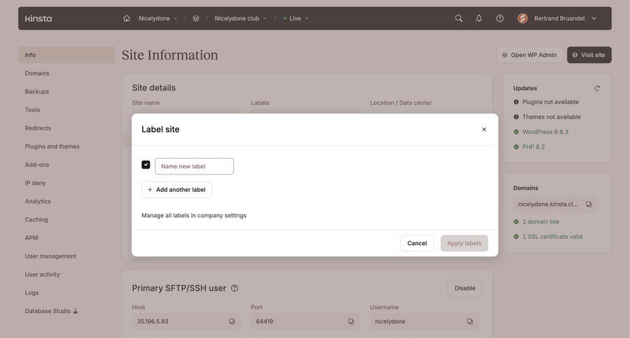 Kinsta
				create ui page example
