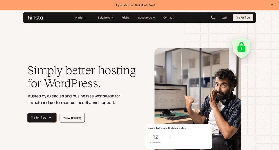 Kinsta screen example