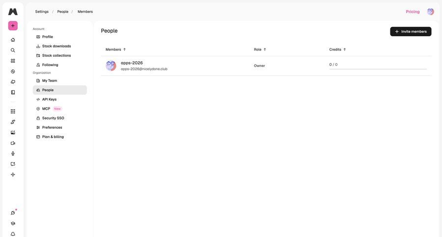 Magnific
			team settings team management organization settings ui page example