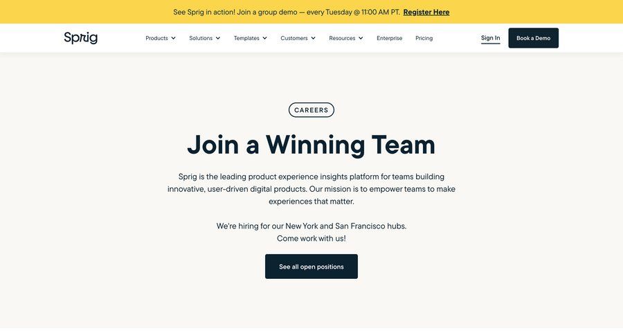 Sprig
			 insight career jobs job ui page example