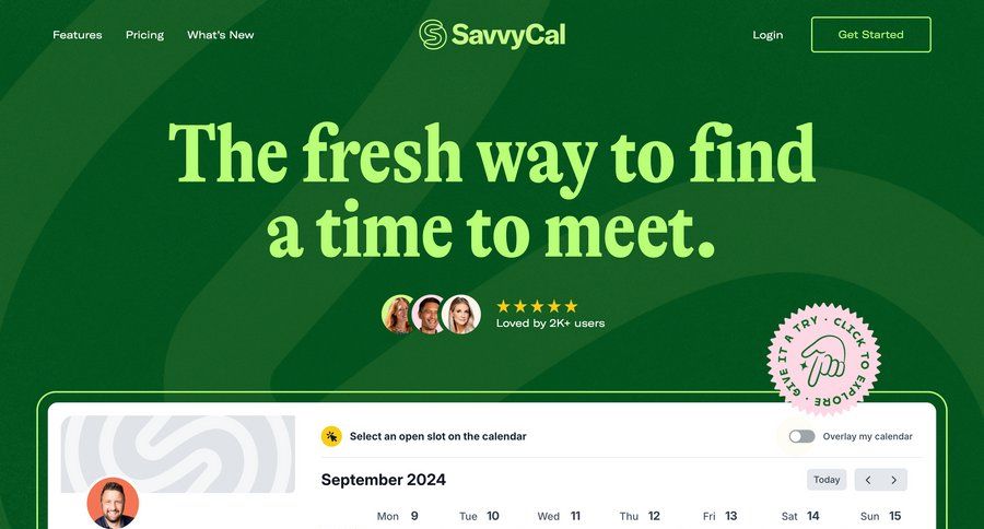 SavvyCal
				 page example