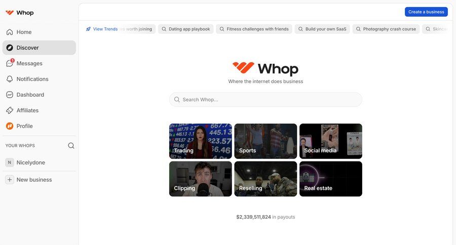 Whop
			 search suggestions ui page example
