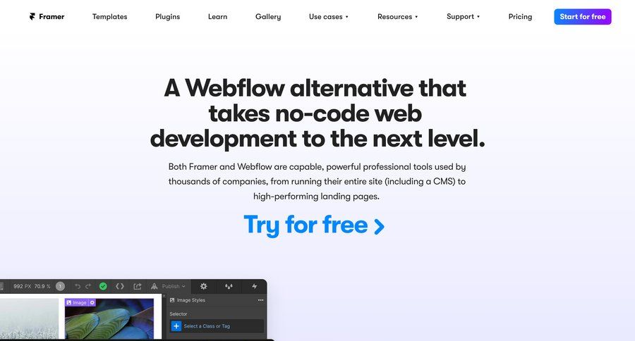Framer
			alternative image gallery photo gallery comparison page competition vs comparision alternatives time selector data grid ui page example