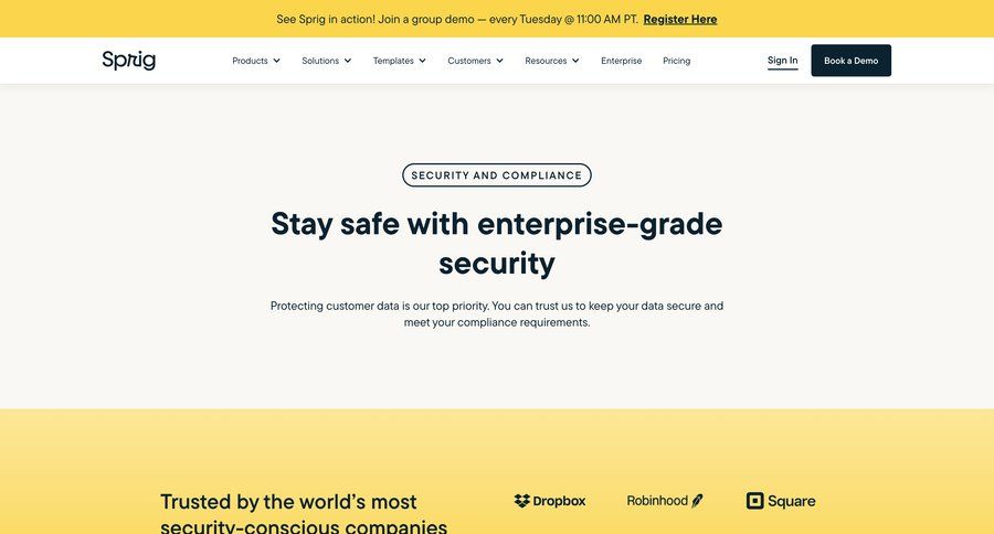 Sprig
			 user role features management audit log security features enterprise data grid ui page example
