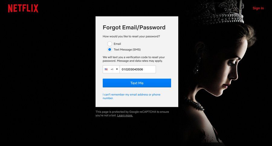 Netflix
				password reset page example
