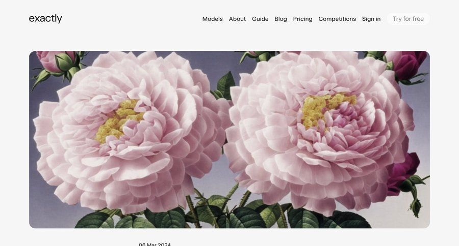 Exactly
			 user role career jobs job competition marketing website design voice campaign creation ui page example