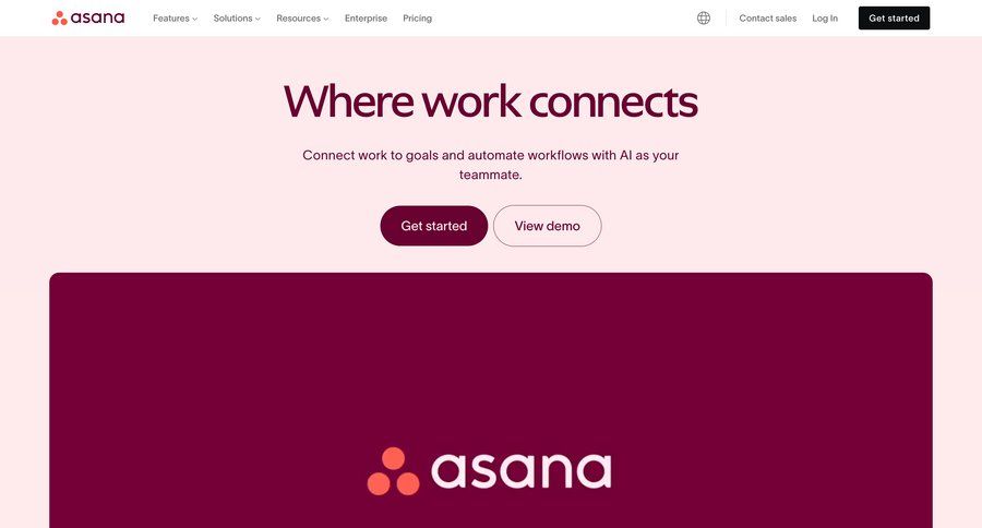Asana
page example