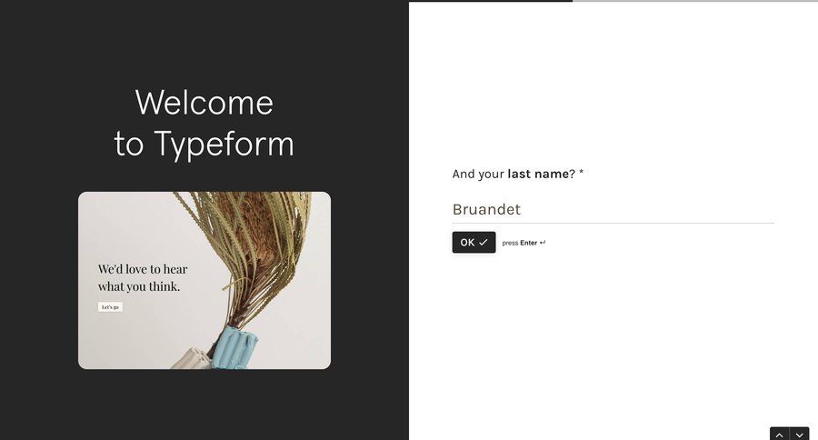 Typeform
			    ux ui design