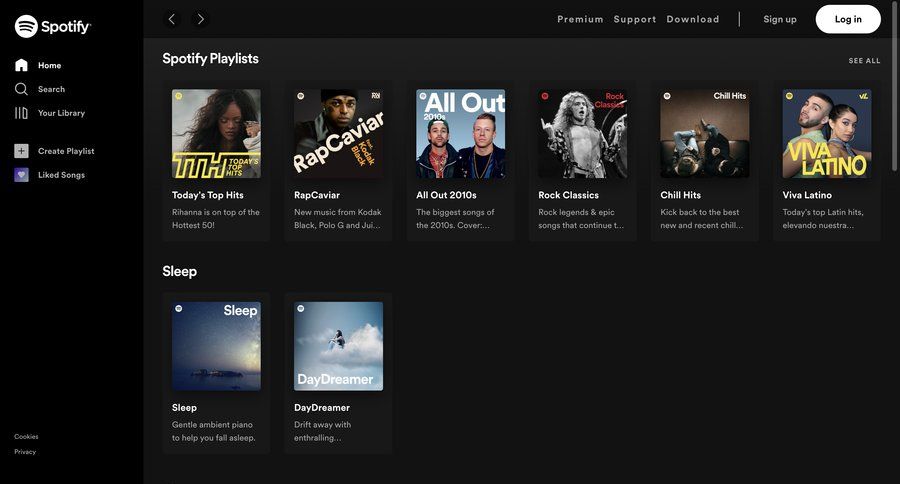 Spotify screen example
