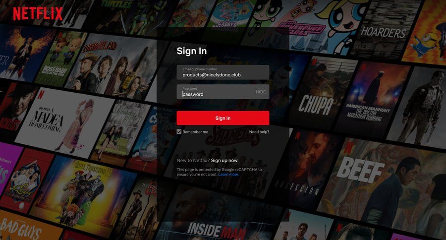 Netflix
				signin page example