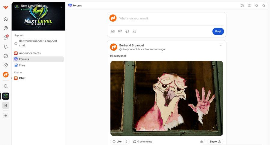 Whop
				create ui page example