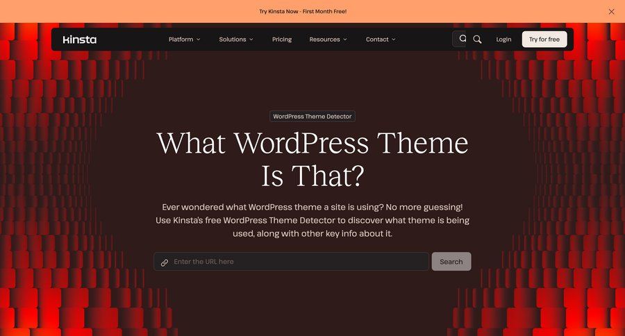 Kinsta
				search ui page example