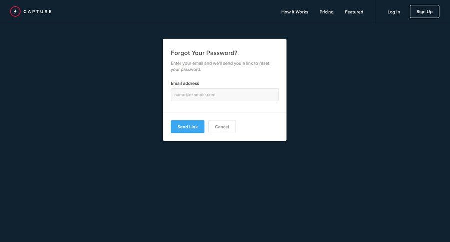 Capture
				password reset page example